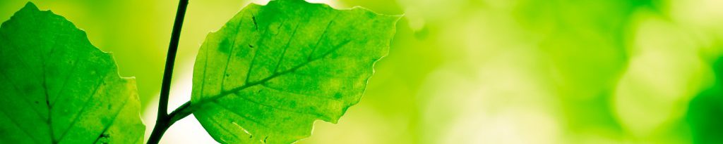 Shades of Green:                                                                       What shade is your portfolio?