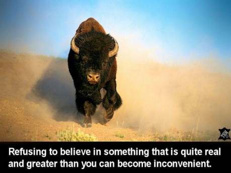 8609401964_ba9754d654_z