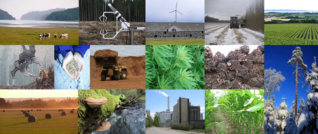 4426401253_2921fe808b_b