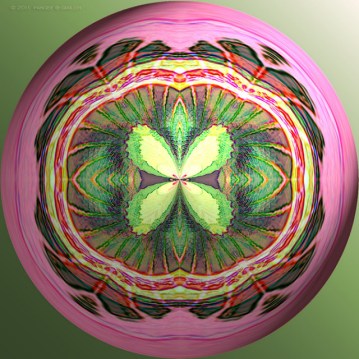 courtesy of Parg Life growing inside a circle 2011